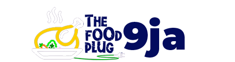 The Food Plug 9Ja